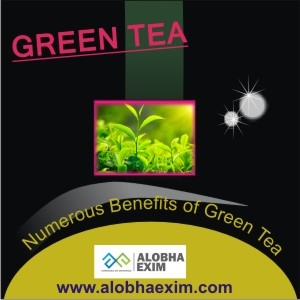 Green Tea Manufacturer